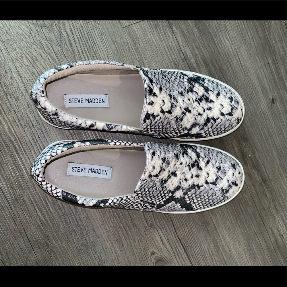 Steve Madden “Gills” snake skin sneakers